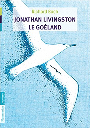 Jonathan levingston le goeland